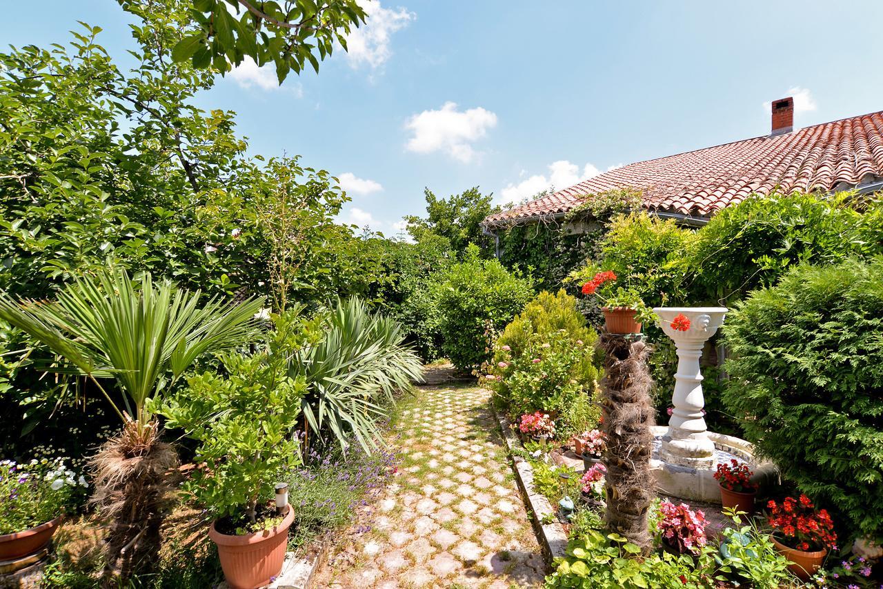 Apartments Predrag 498 เมดูลิน ภายนอก รูปภาพ